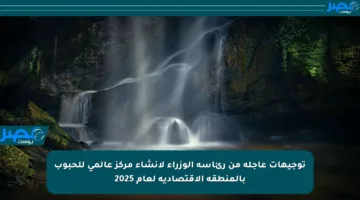توجيهات عاجلة من رئاسة الوزراء لإنشاء مركز عالمي للحبوب بالمنطقة الاقتصادية لعام 2025